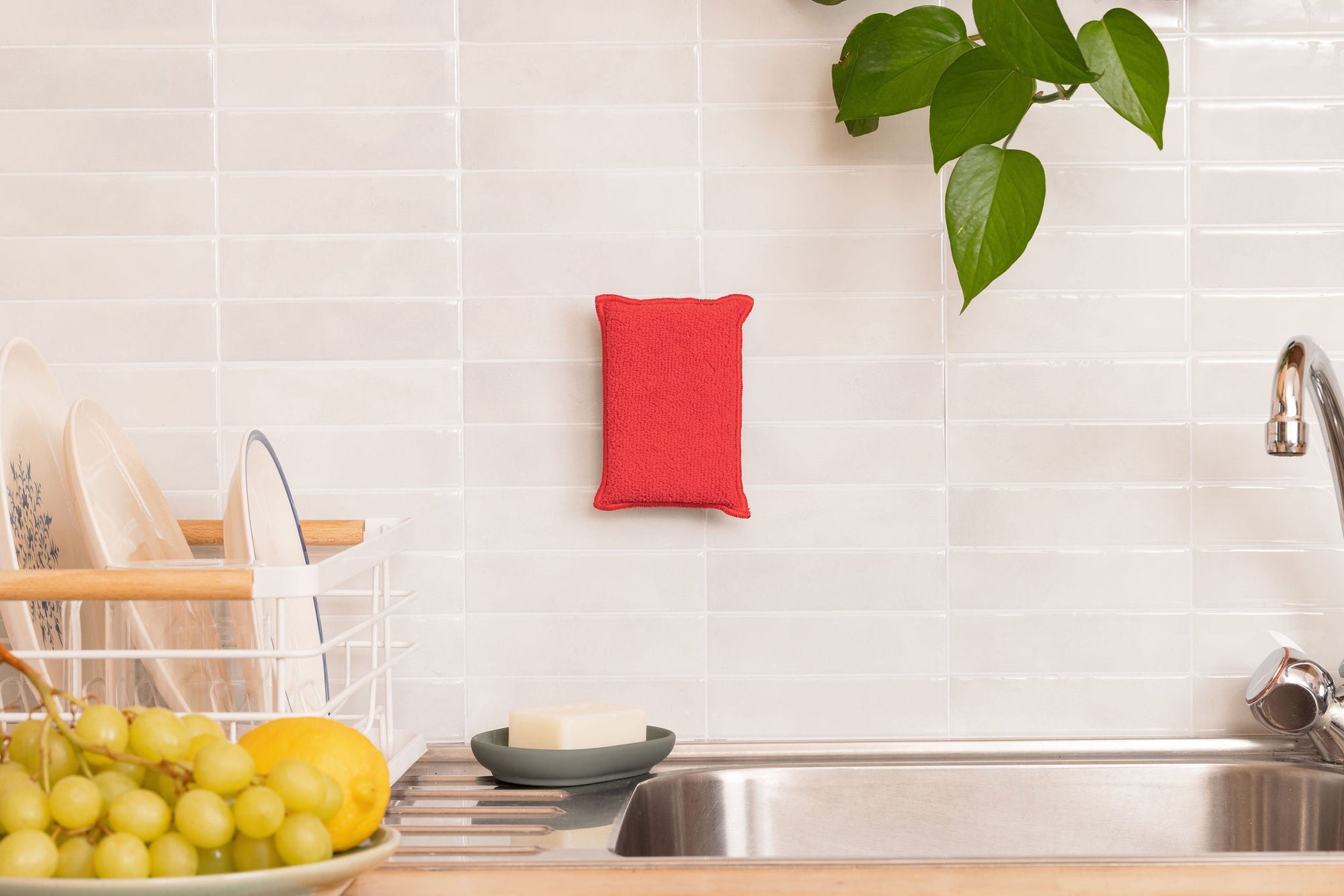 Les éponges lavables : le guide complet