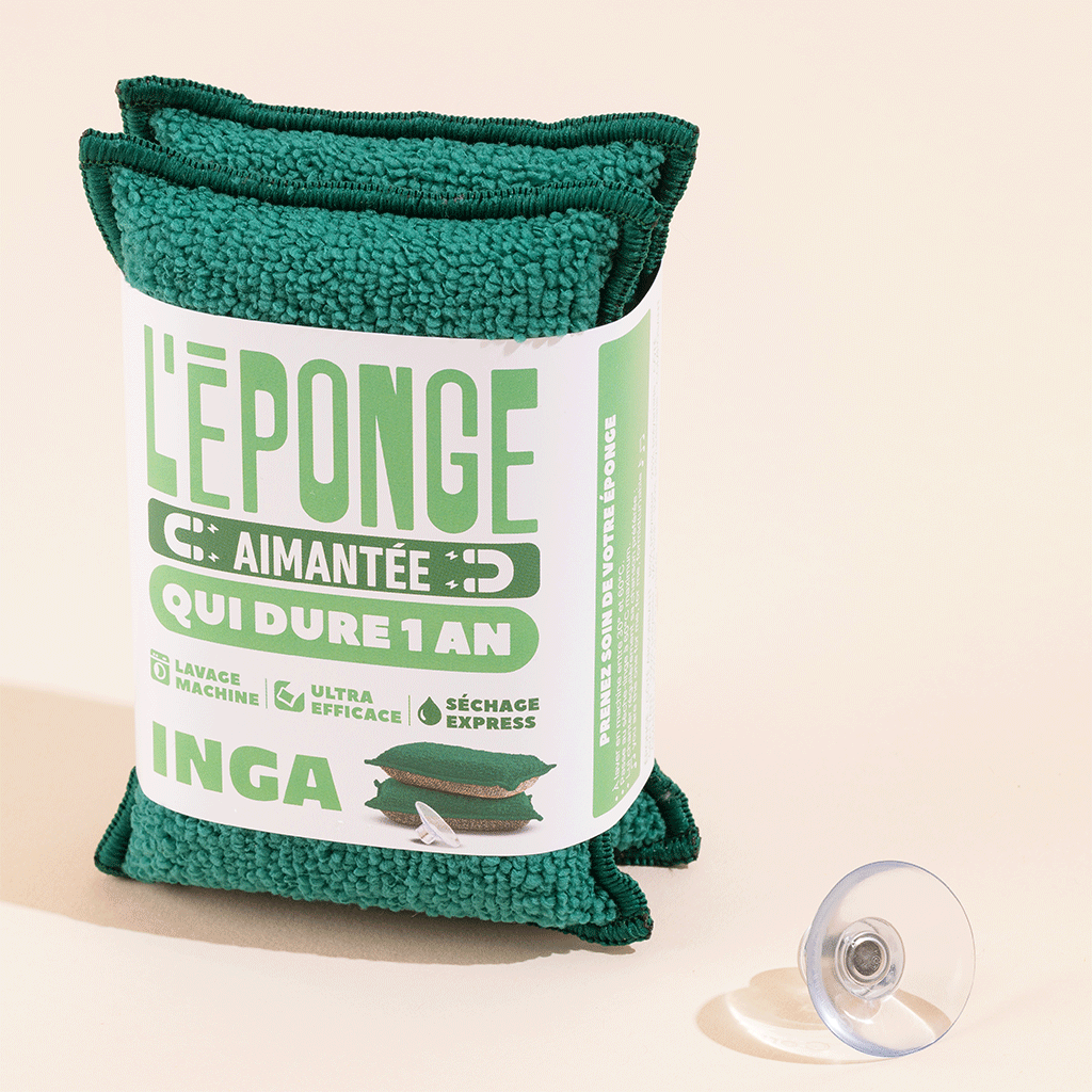 Pack Noël - Éponges Aimantées et Acier