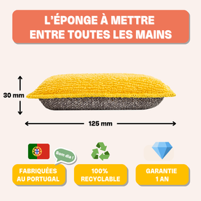 Éponge Breizh