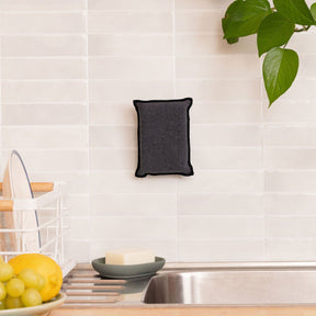 Duo d'Éponges Aimantées