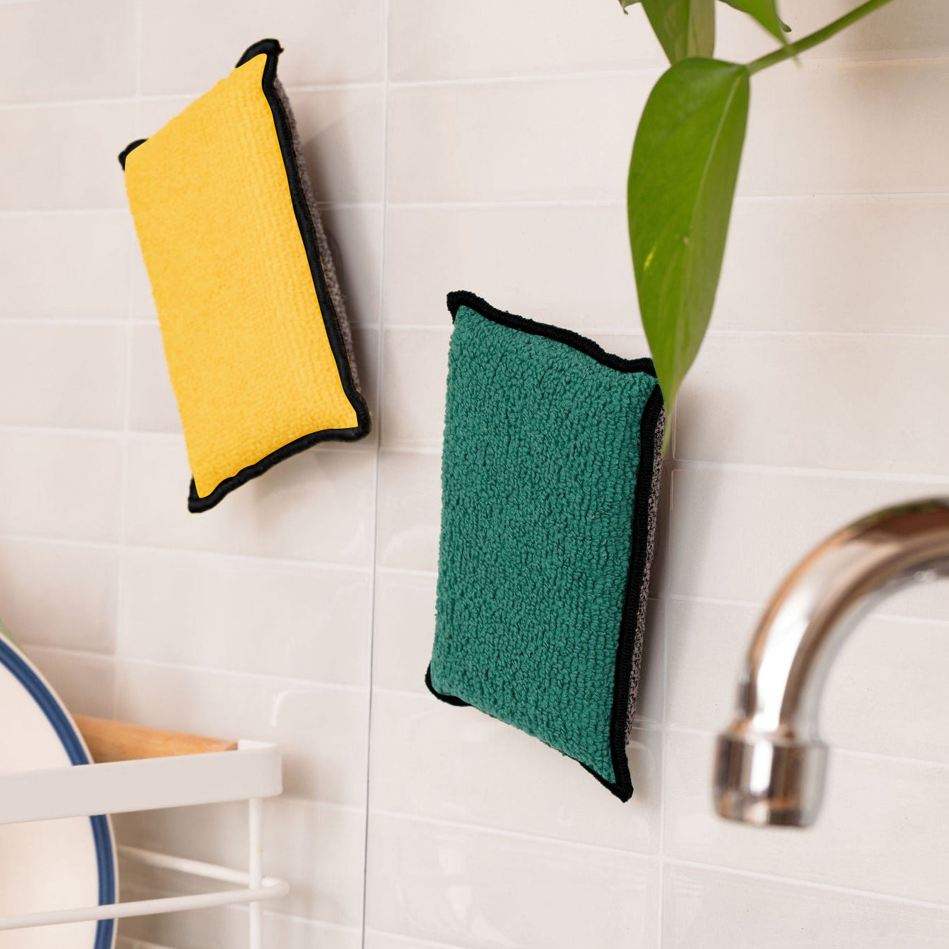 Duo d'Éponges Aimantées