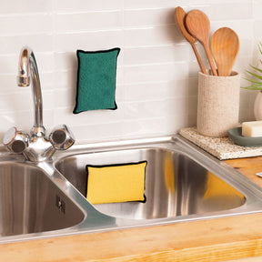 Duo d'Éponges Aimantées