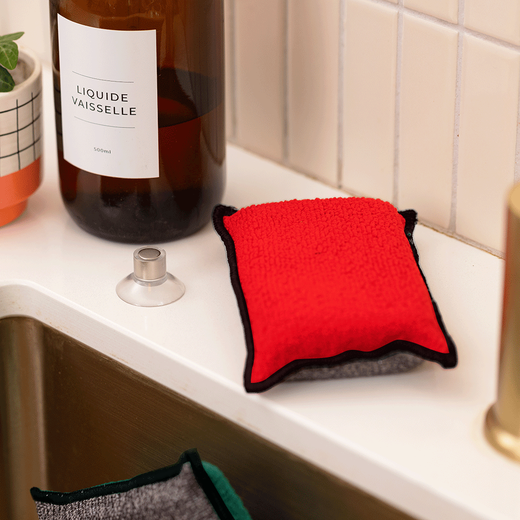 Duo d'Éponges Aimantées