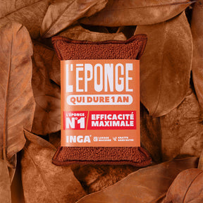 Duo d'Éponges Terracotta