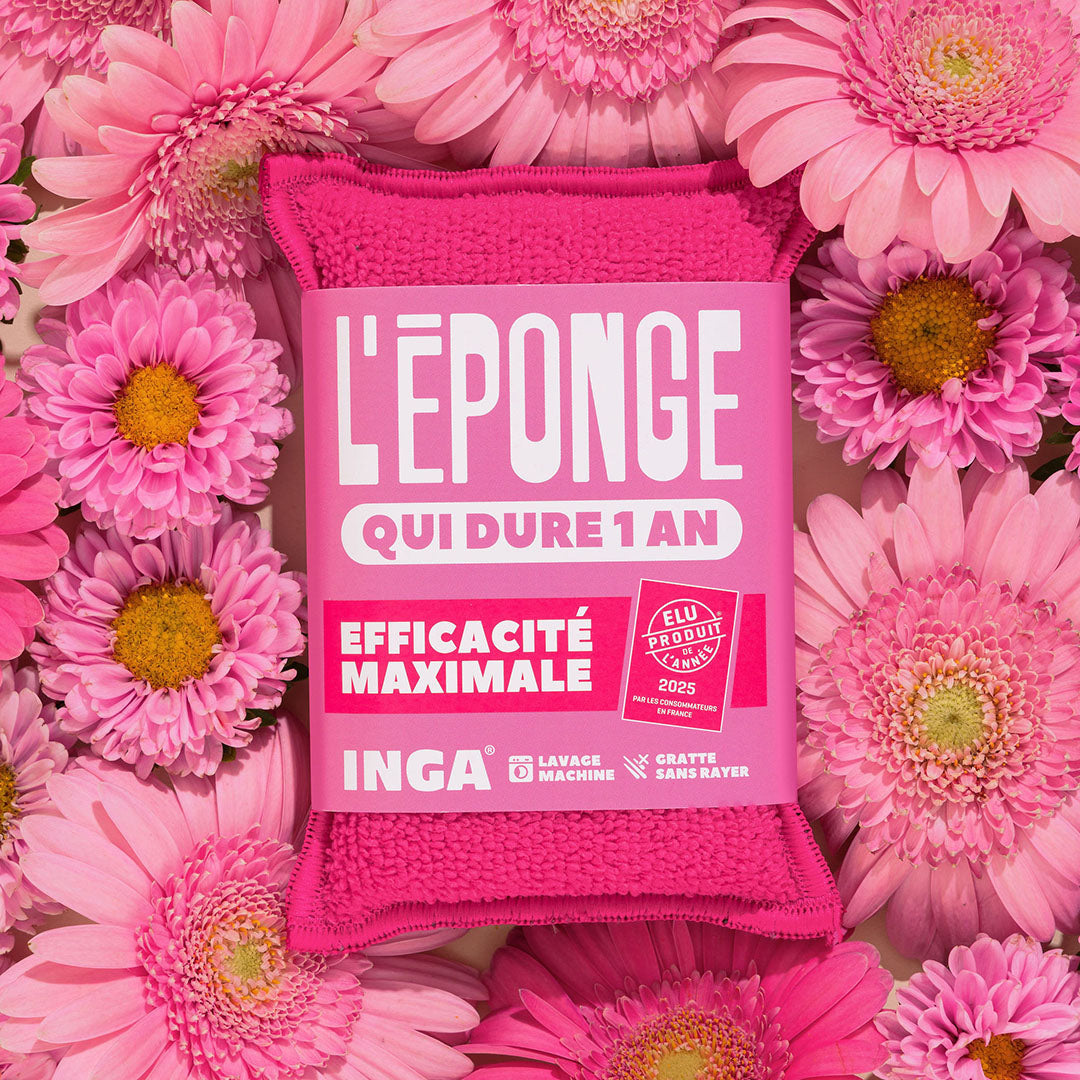 Duo d'Éponges Roses