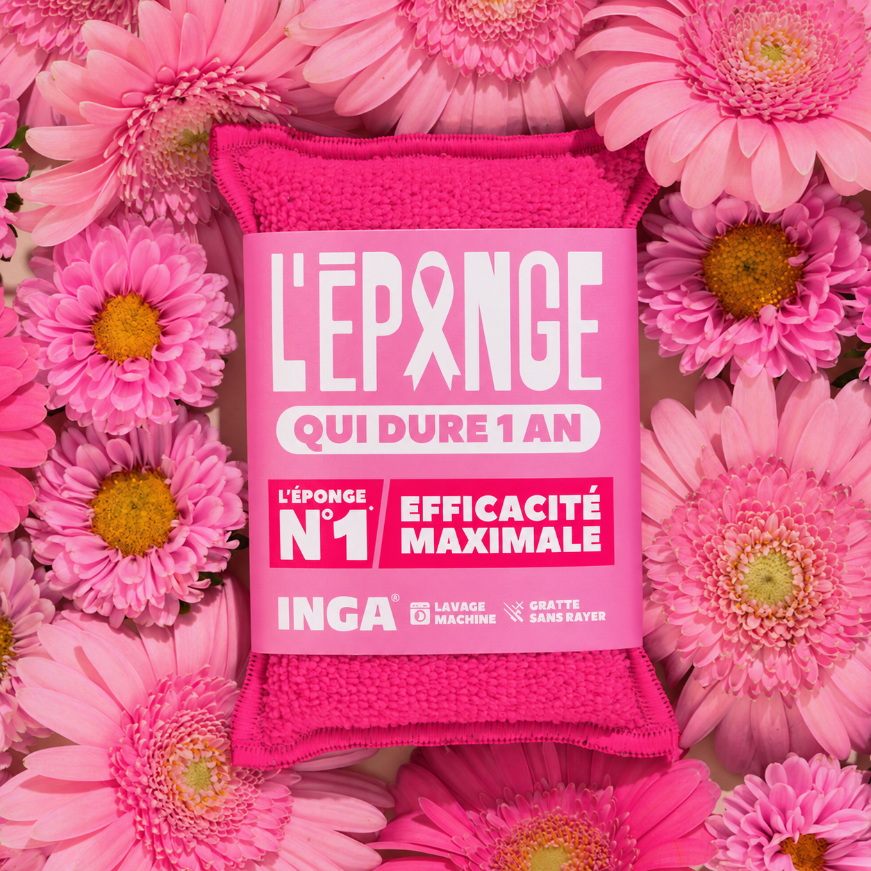 Pack Ruban Rose - Éponges, Éponges Salle de Bain et Plates Ruban Rose