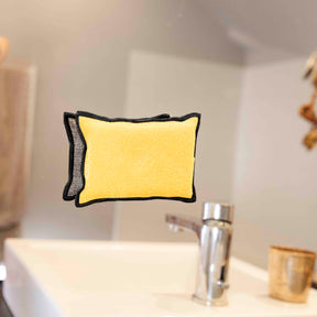 Duo d'Éponges Aimantées