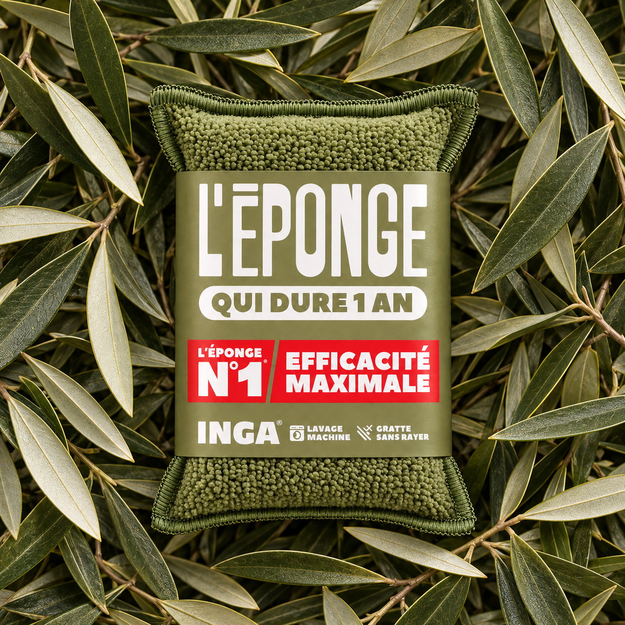 Duo d'Éponges Olive